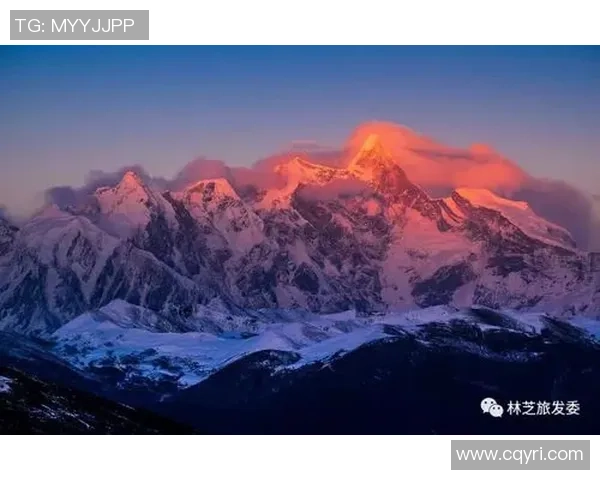 成都乒乓球队逆袭之旅揭秘世界杯背后的奋斗与荣耀